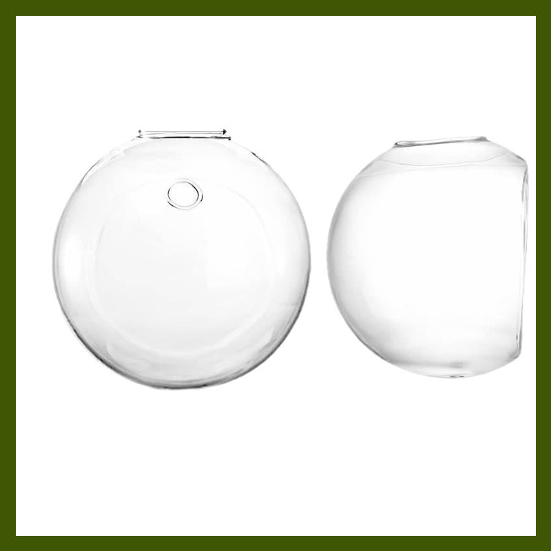 Αναδείξτε τα φυτά σας στους τοίχους σας, χωρίς να τρυπήσετε