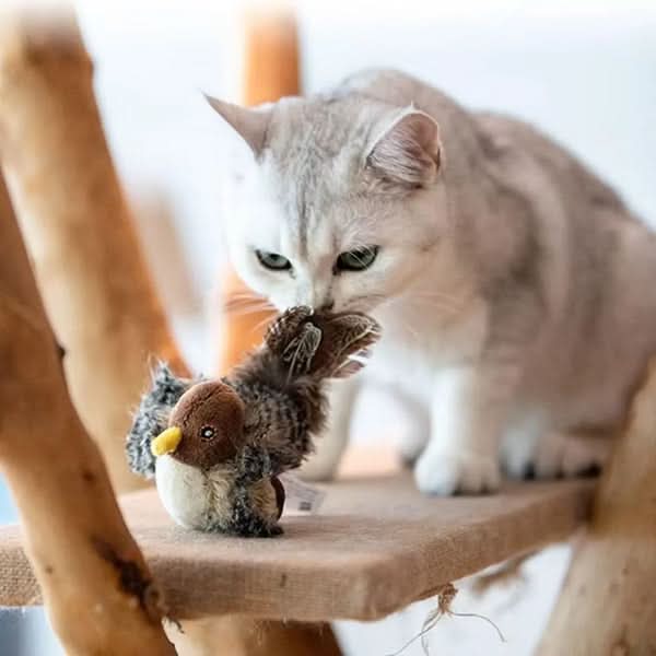 Stimuler din kats naturlige instinkt 