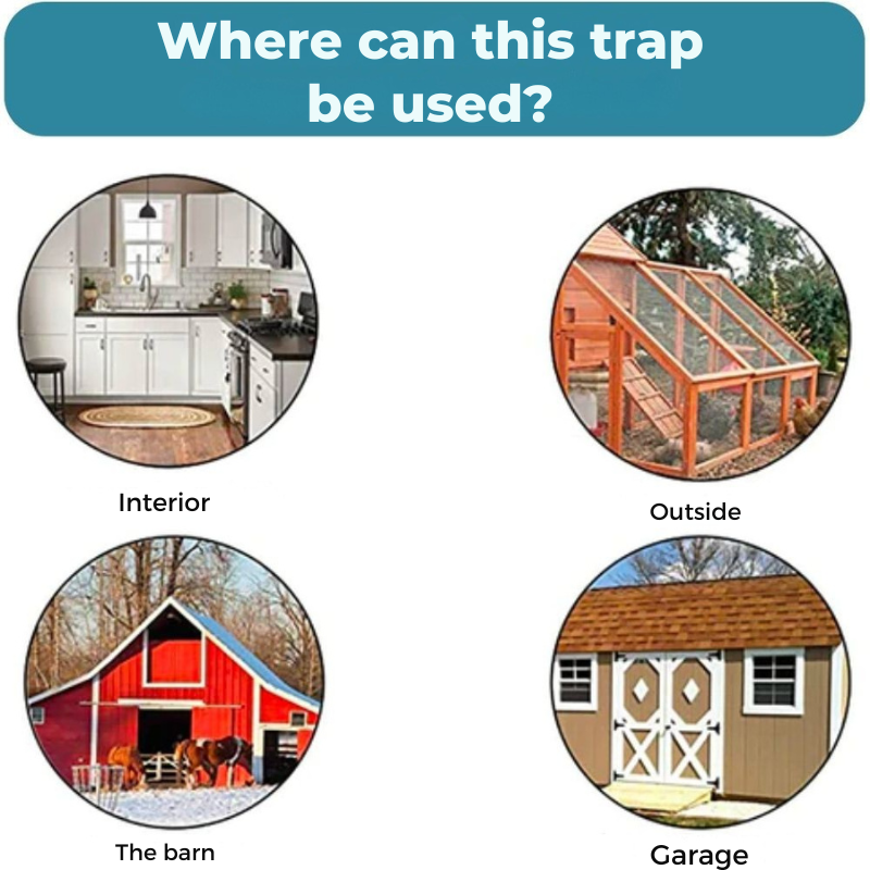 Pułapka na gryzonie bez okrucieństwa 