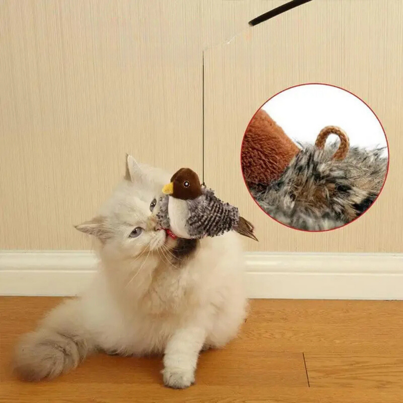 Stimuler din kats naturlige instinkt 