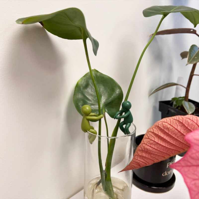 دعامة قطع مرنة وزخرفية للنباتات (x3)